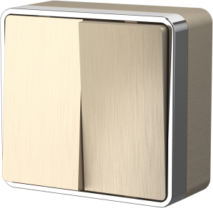 Выключатель   2кл. О/П  /шампань рифленый/ (WERKEL) (WL15-03-01)