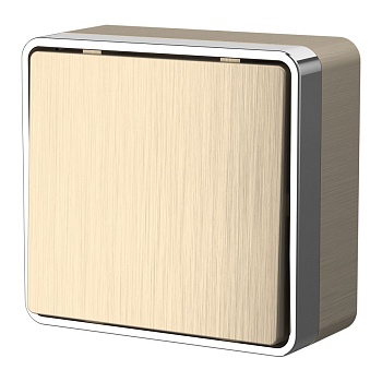 Выключатель   1кл. О/П проходной /шампань рифленый/ (WERKEL) (WL15-01-03)