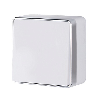 Выключатель   1кл. О/П проходной /белый/ (WERKEL) (WL15-01-03)