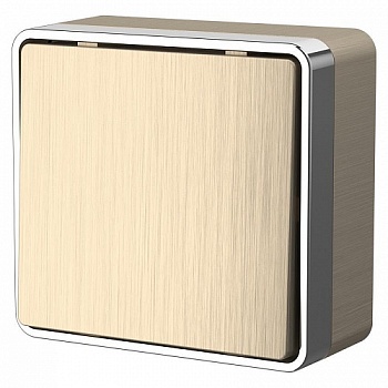 Выключатель   1кл. О/П проходной /сл.кость/ (WERKEL) (WL15-01-03)